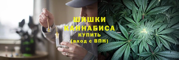 ГАЛЛЮЦИНОГЕННЫЕ ГРИБЫ Вязьма